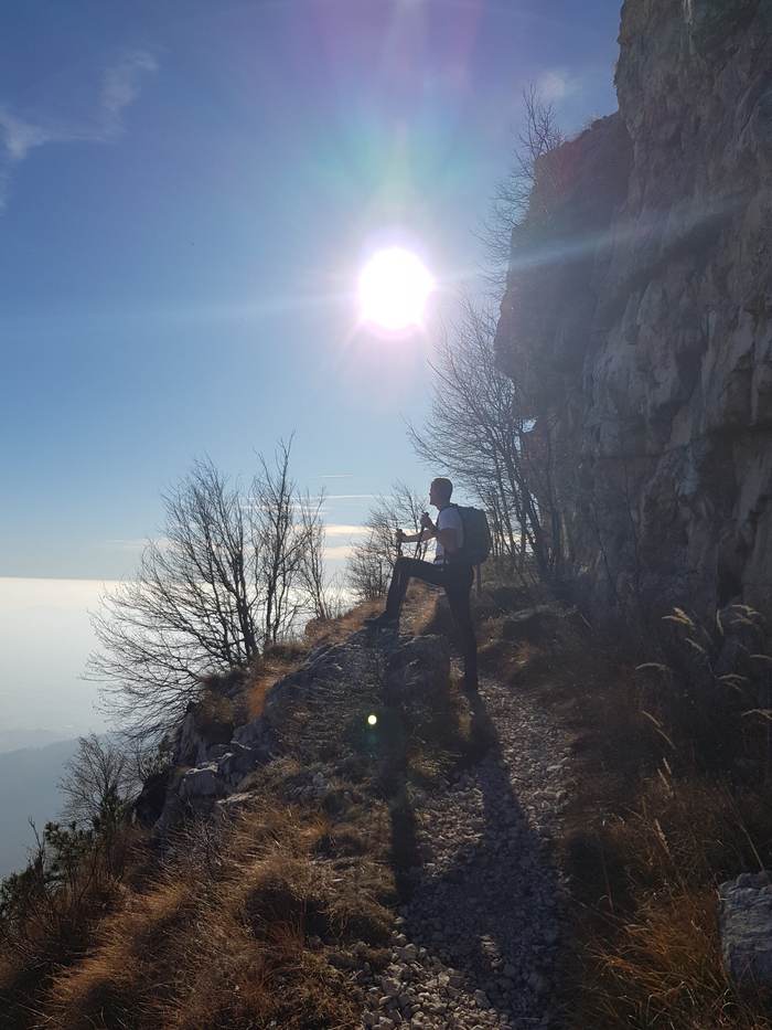 Luce tra gli alberi su un pendio roccioso